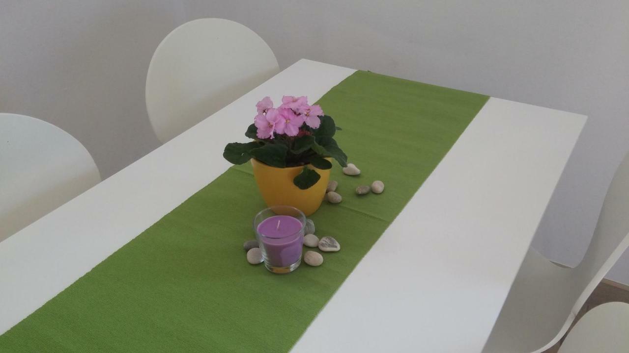 Apartment Dario Grebaštica Zewnętrze zdjęcie